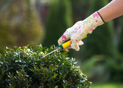 Close-up of mower cutting grass in a back garden
