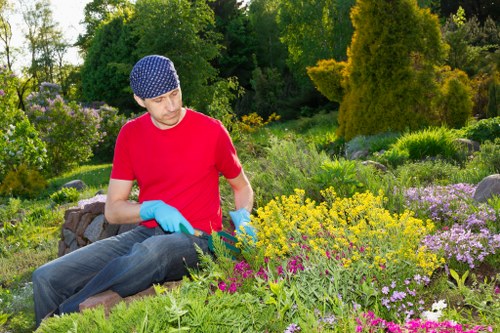 Hedge trimming crew working on suburban Tottenham hedges
