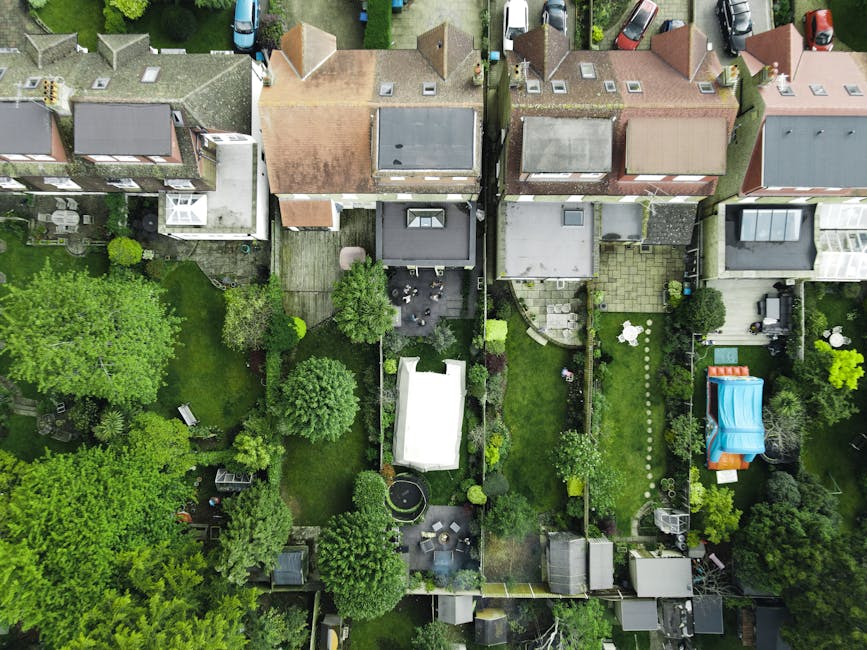 An aerial view of a row of terraced houses with distinct backyard gardens in Tottenham, featuring lush green lawns, various mature trees, and well-maintained flower beds. The gardens display different