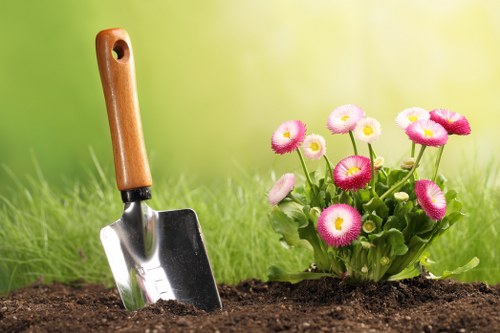 Top-quality grass cutting service in Tottenham